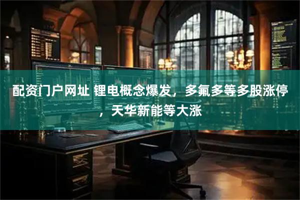 配资门户网址 锂电概念爆发，多氟多等多股涨停，天华新能等大涨
