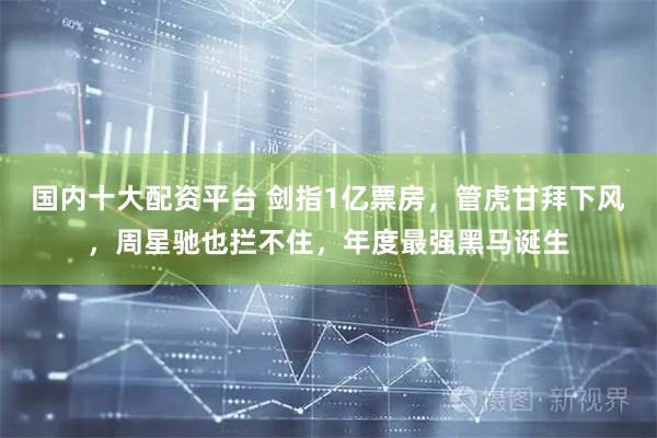 国内十大配资平台 剑指1亿票房，管虎甘拜下风，周星驰也拦不住，年度最强黑马诞生